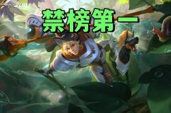 禁用率暴露版本真相！艾琳吃满圣剑红利，杨戬41%禁用率难怪挨刀