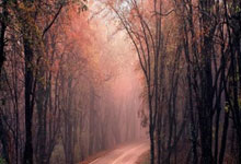 他们输了比赛，但踢出了“零的突破”！农大学生打破德国战队零封神话