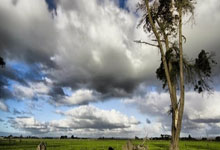 足球解说：让比赛“活起来”的声音