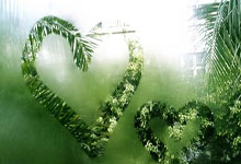 迅捷兴珠海厂最新动态